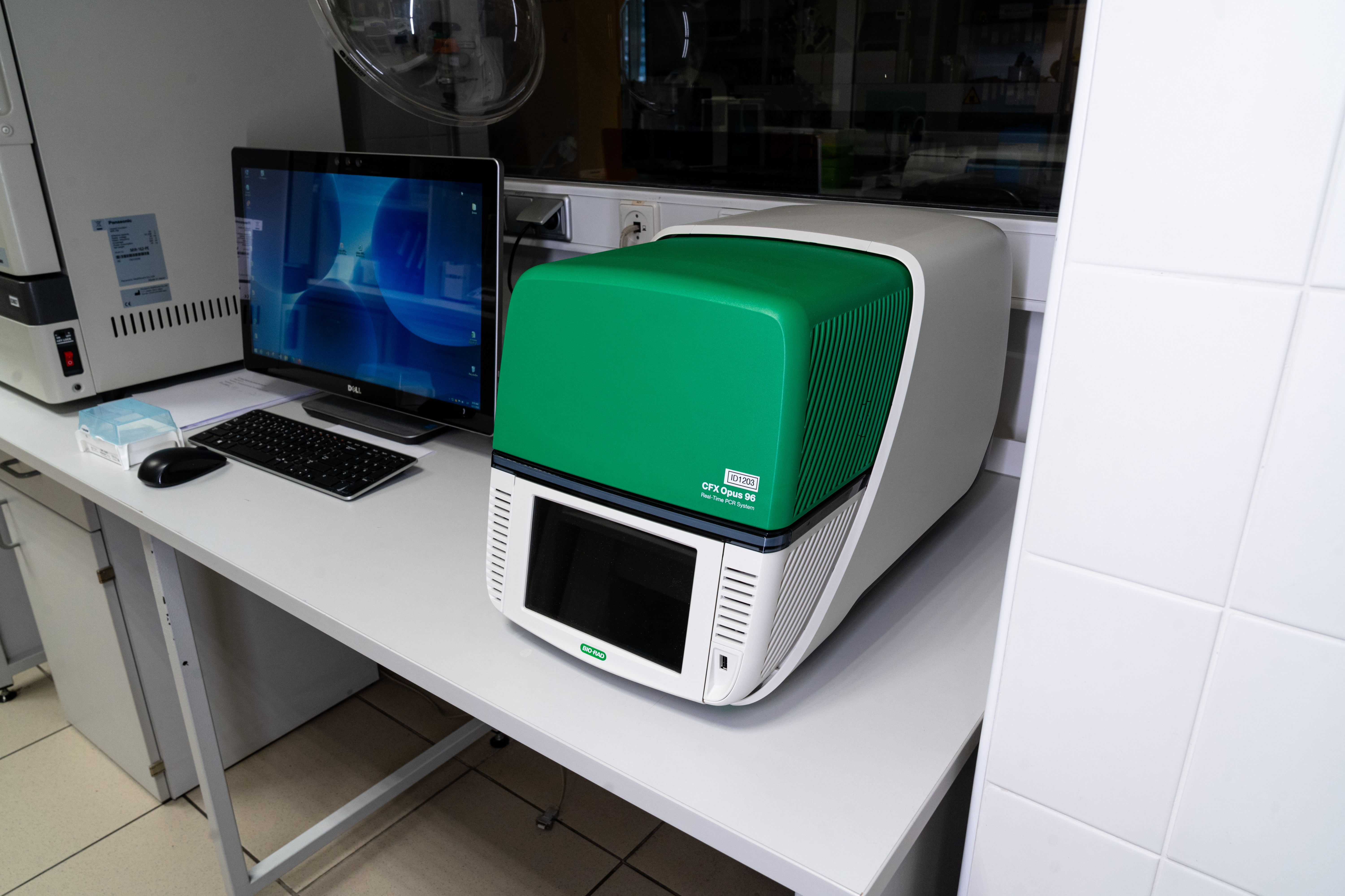 Polymerase chain reaction (PCR) test for causative agents of mastitis according to the DNA